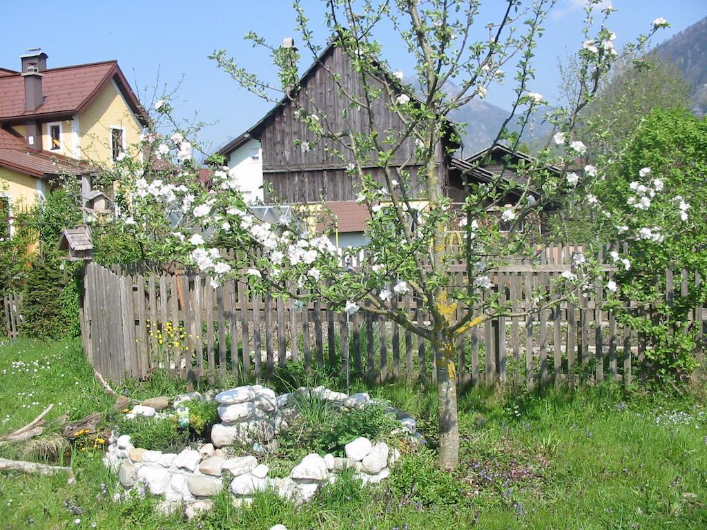 Ferienwohnung Am Pflanzgarten Ebensee Exterior foto